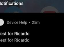 what is test for ricardo notification